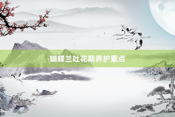 蝴蝶兰吐花期养护重点