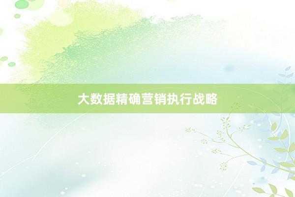 大数据精确营销执行战略
